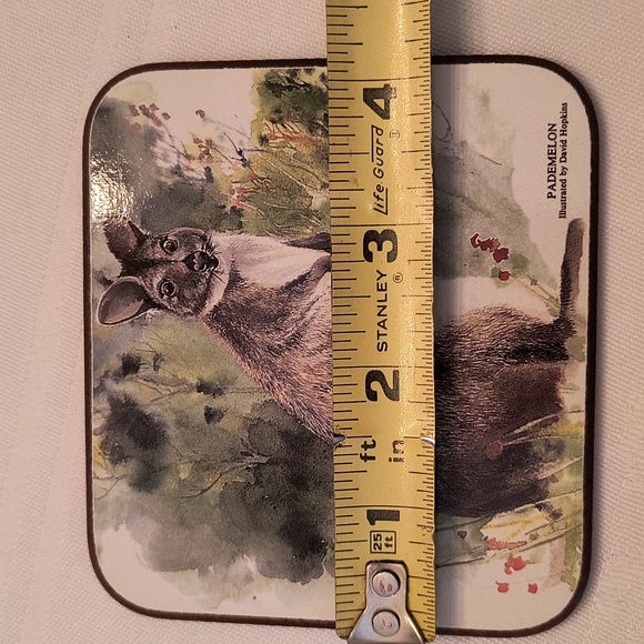 Australia Animal Coaster Set - Picture 14 of 16